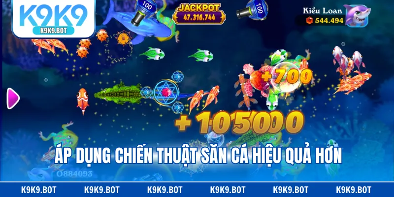 Áp dụng chiến thuật săn cá hiệu quả hơn