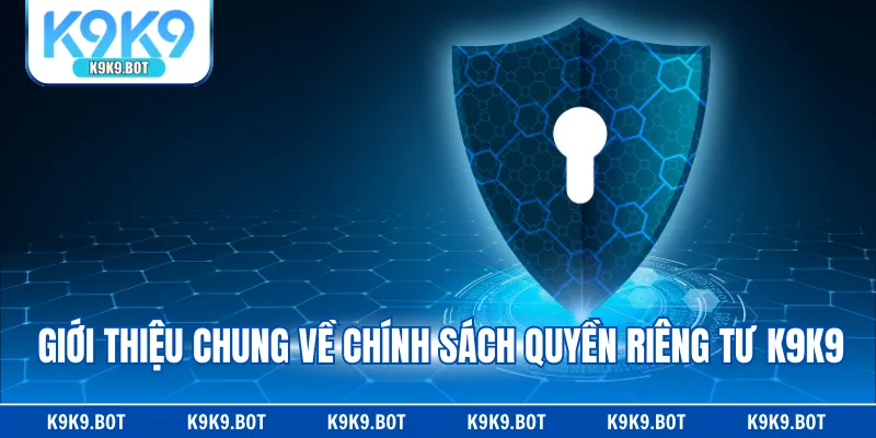 Giới thiệu chung về chính sách quyền riêng tư K9K9