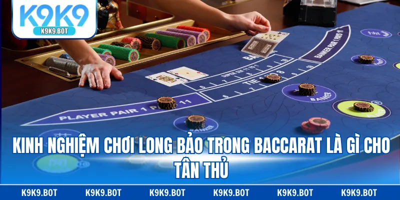 Kinh nghiệm chơi long bảo trong Baccarat là gì cho tân thủ Kinh nghiệm chơi long bảo trong Baccarat là gì cho tân thủ